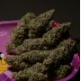 Cannabis seeds Ice Cream Cake from Barney's Farm